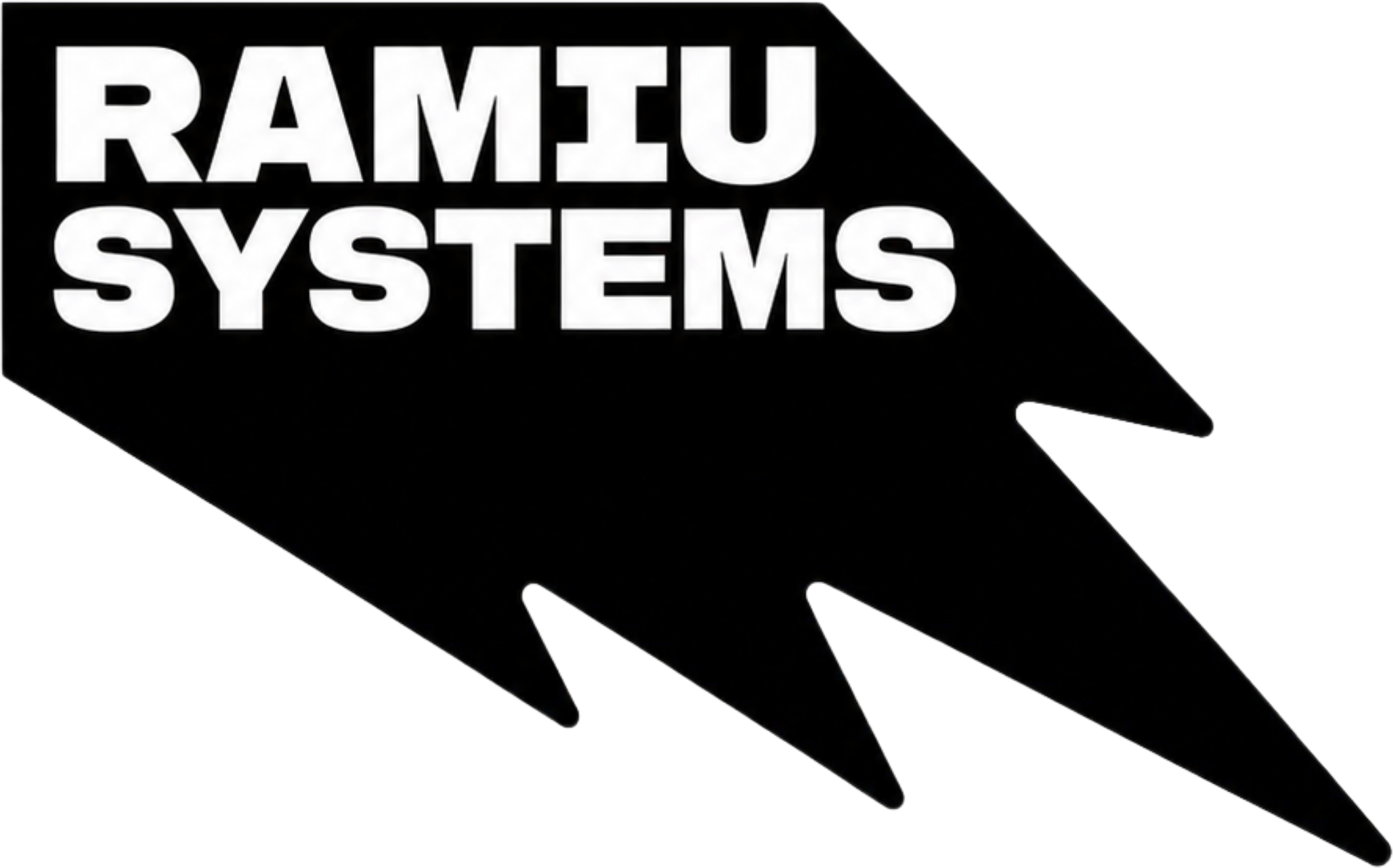 RAMIU SYSTEMS